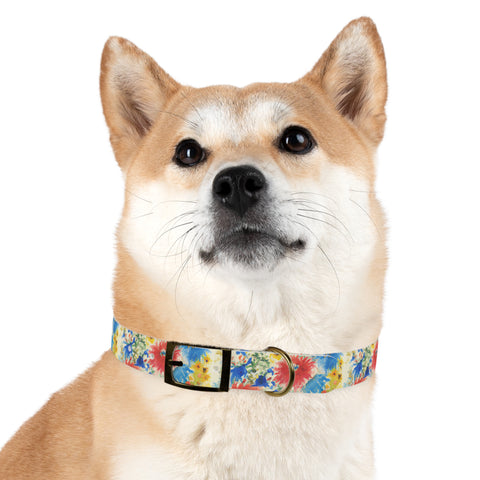 Eloise Dog Collar